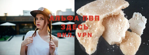прущие грибы Аркадак