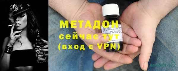 прущие грибы Аркадак