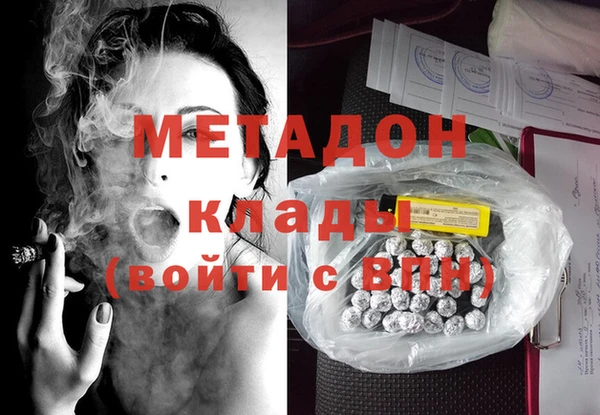 прущие грибы Аркадак