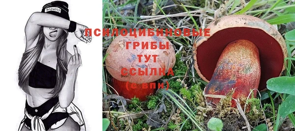 2c-b Арсеньев