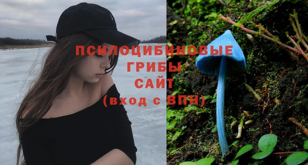 2c-b Арсеньев