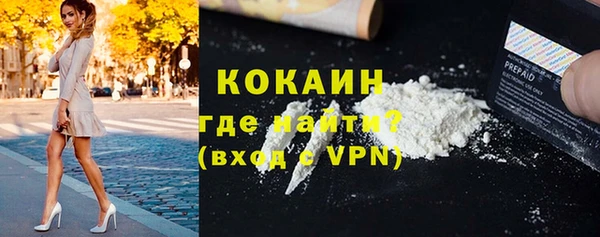 прущие грибы Аркадак