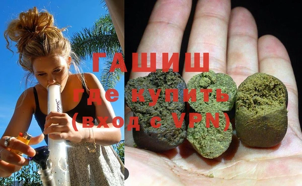 прущие грибы Аркадак