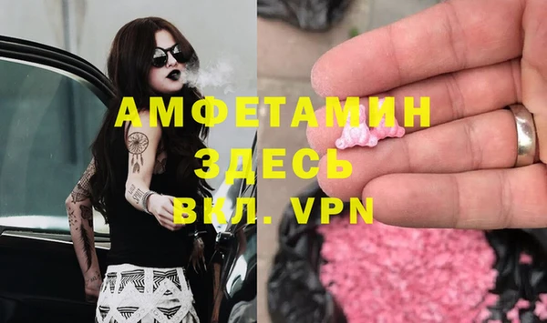 прущие грибы Аркадак